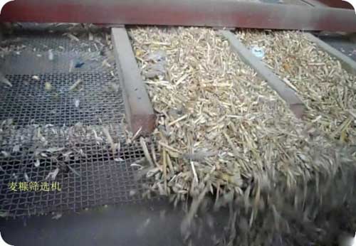 小麦除杂直线振动筛